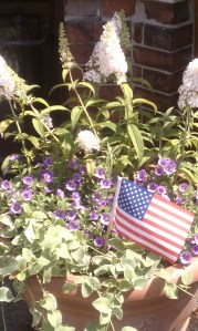American Flag in terra cotta container with white butterfly bush, lavender silverbells and variegated vinca vine