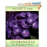 Hydrangeas for American Gardens by Michael Dirr