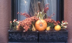 Autumn window box with mums and pumpkins