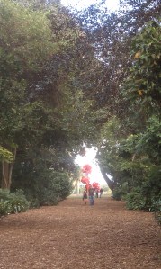 Red Flowers Far Away Fairchild Botanic Gardens with Red Flowers in Background