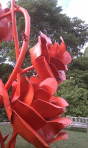 Red Flowers Up Close Red Roses Up Close