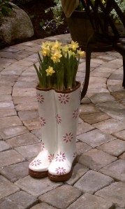 Daffodils planted in white rain boots