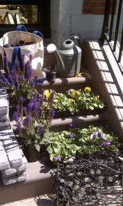 Flowers and Tools for Spring Garden