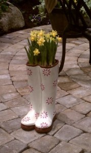 Daffodils in Rain Boots