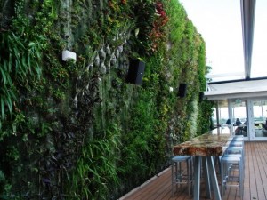 Hanging Gardens in Miami by Patrick Blanc