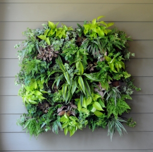 Living wall planter by Pamela Crawford