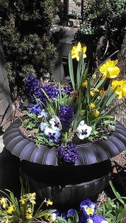 Container Beauty Resized