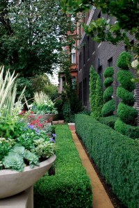 PG - Container and shrubs