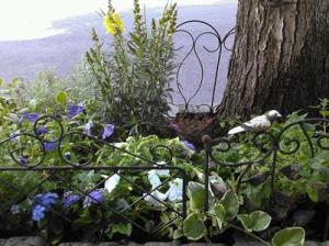 Tree Garden June 26, 2013